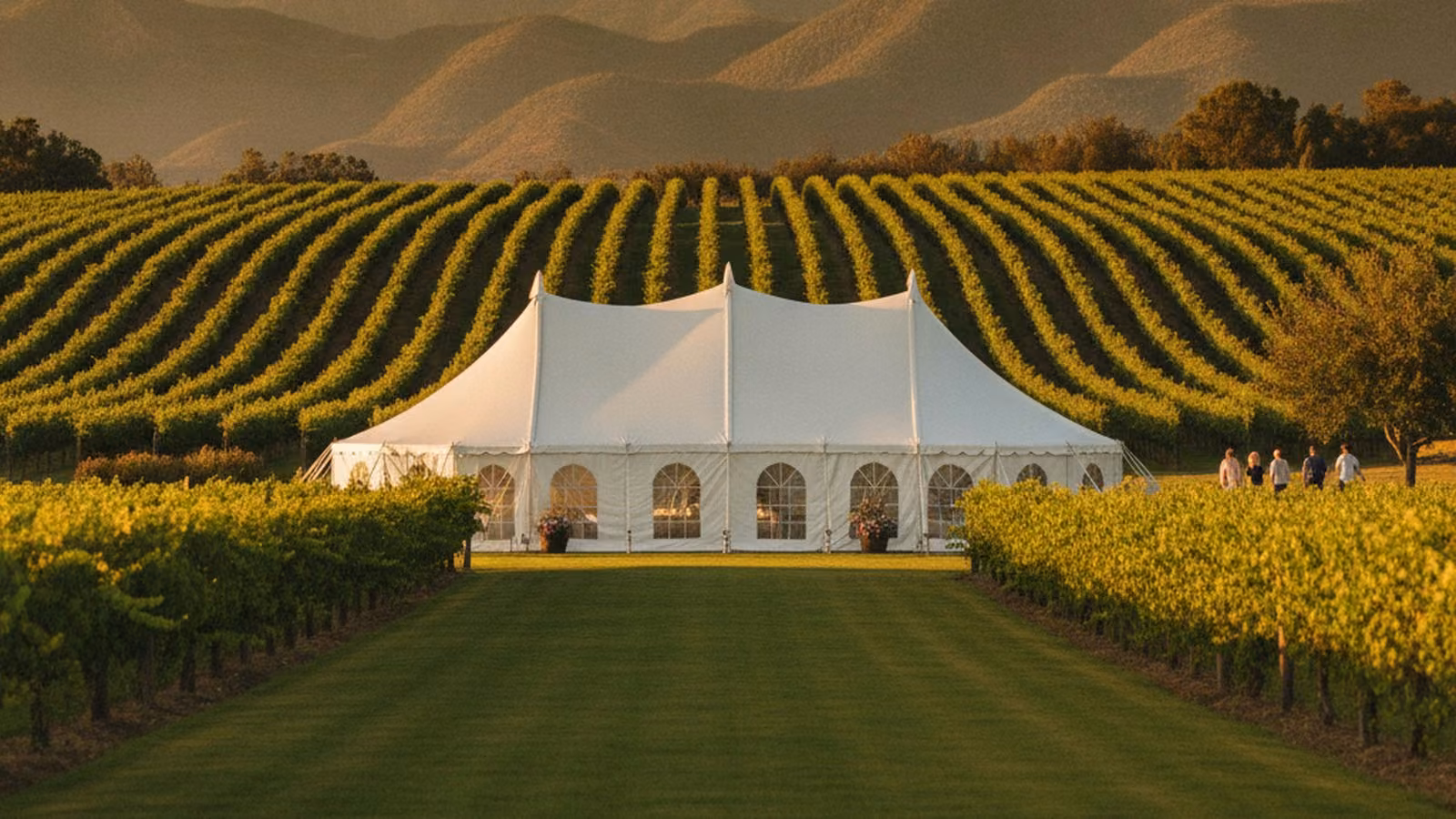 A white event tent pitched on a level lawn beside vineyard rows